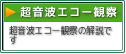 超音波エコー観察装置とエコーガイド下筋膜リリース鍼