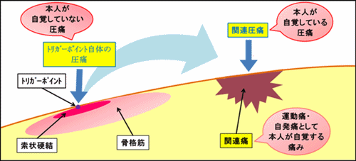 tpandkanrentsu_s