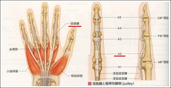 28-400x232