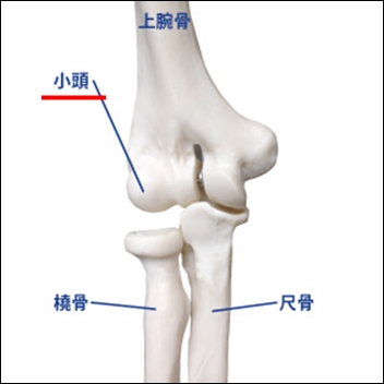 elbow5