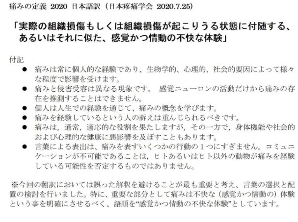 41年ぶりに痛みの定義が改定 心療整形外科 (2)